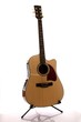 Accoustic Guitar Accoustic Guitar