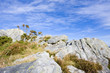 view of a small mountain in brittany