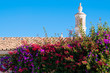 Colourful Flowers