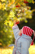 Child considers berries in autumn park Child considers berries in autumn park