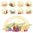 Retro mixed fruits collection