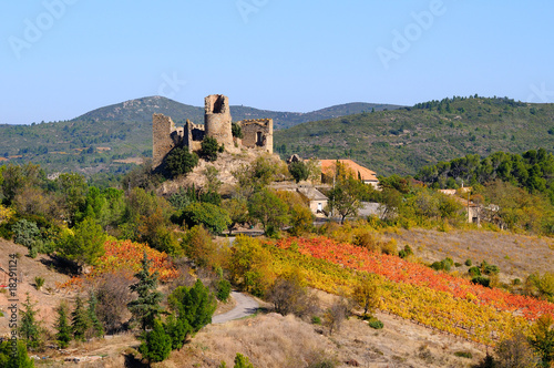 chateau cathare de Durban en corbières