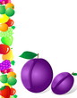 plum and fruit..