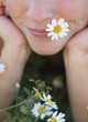Flowerpower