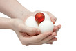 Composition from eggs and a New Year's sphere