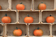 Pumpkins Pumpkins