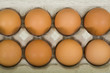 Foto: Brown Eggs in Carton Brown Eggs in Carton