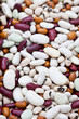 Mixed dried beans