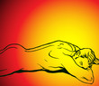 Boy Sun Background
