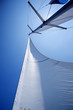 Sail