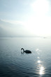 Lac d'Annecy