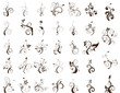 Vector floral set
