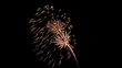 fiore di stelle