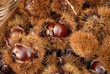 castagne al mercato