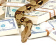 Money danger