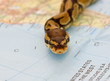 Snake invasion - symbolic content