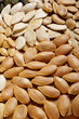 Close up of different dry pummpkin seed