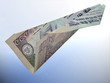 Flying Indian Currency