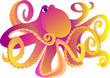 Octopus on a white background