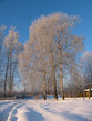 Winter landscape Winter landscape