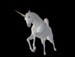 Einhorn