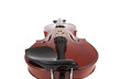 Violin on a white background