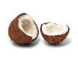 Coconut