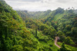Mounts and jungle in foggy weather. Big island. Hawaii. USA