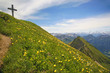 Bergwelt im Frühling