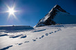 Spuren im Schnee Spuren im Schnee