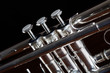 trumpet detail on black