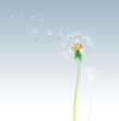 color dandelion