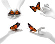 hands and butterflies