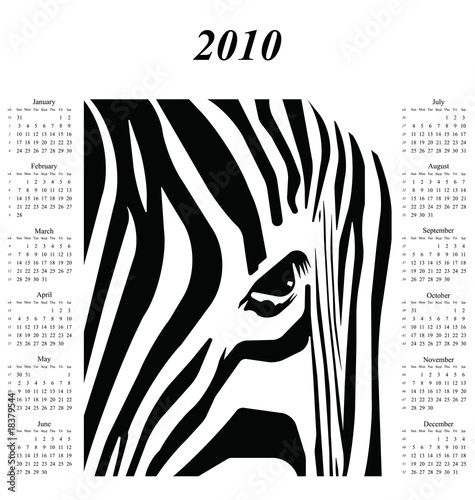 quotes about zebras. quotes copy Creditable