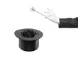 Magic wand and silk top hat