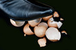 Shoe over broken eggs