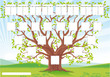 Arbre généalogique, genealogy three