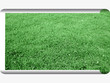 Natures scroll background to be unfurled  flat