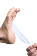 Hand tickling foot with feathers Hand tickling foot with feathers