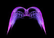 Pink and Purple Angel Wings Fractal