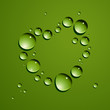 Vector dew drops heart. No mesh.