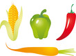 Vector: Vegetables vector Vegetables vector