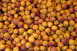 étal d’abricots au marché