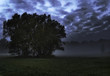 Foto: wolken und nebel wolken und nebel