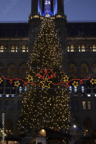 Photo: town hall with Christmas tree, Vienna, Austria town hall with Christmas tree, Vienna, Austria