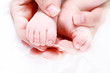 Newborn