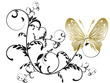 borboleta