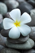 Spa and wellness. Spa and wellness.