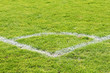 Fussballrasen
