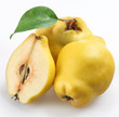 quince on a white background
